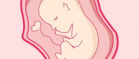 实惠推荐-泰国哪家做试管婴儿便宜？性价比高的医院推荐