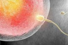 郑州第一人民医院试管成功率有多大？这里有详细分析