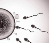 羊水浑浊孕妇一般有哪些表现？