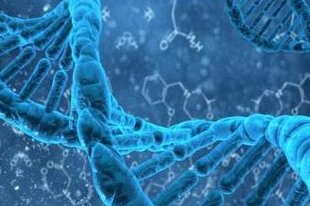 微刺激试管婴儿（试管微刺激方案对身体影响大吗）