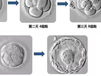 试管婴儿几次较好（试管婴儿一般几次成功,多少时间）