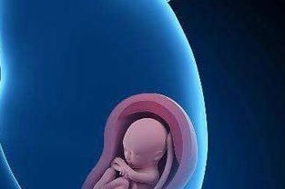 重度宫腔粘连在石狮市做试管婴儿靠谱吗，重度宫腔粘连试管婴儿成功率多少！