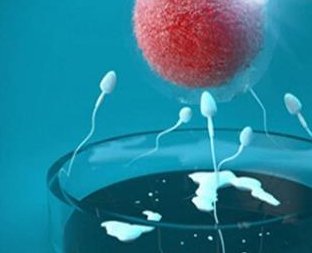 重庆试管医院排名榜更新！附重庆第三代试管医院选择指南